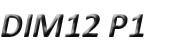 DIM12 P1