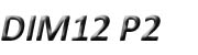 DIM12 P2